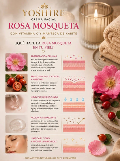 Crema Rosa Mosqueta — Nutre y Regenera