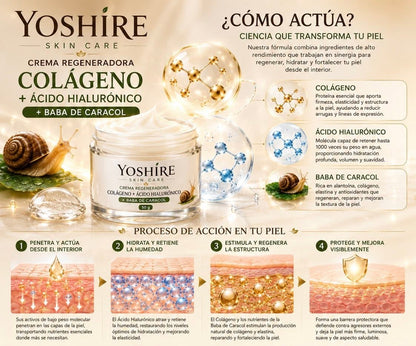 Crema Baba de Caracol — Regeneradora